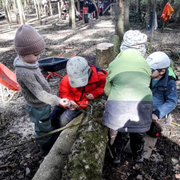 Baumfällarbeiten im Waldkindergarten